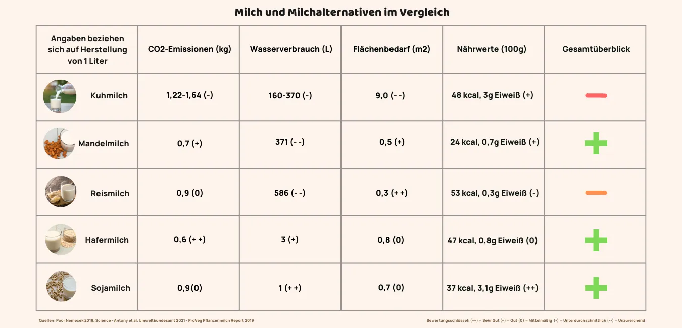 Hier siehst Du alle Milchalternativen im Überblick.