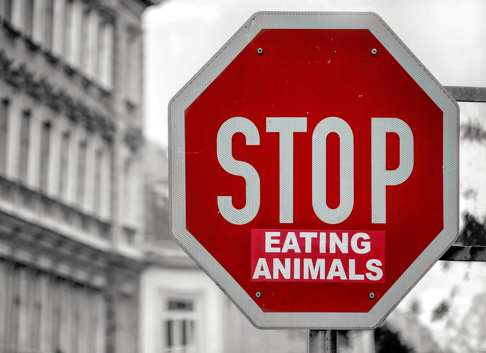Diese Lebensmittel sind nicht Vegan