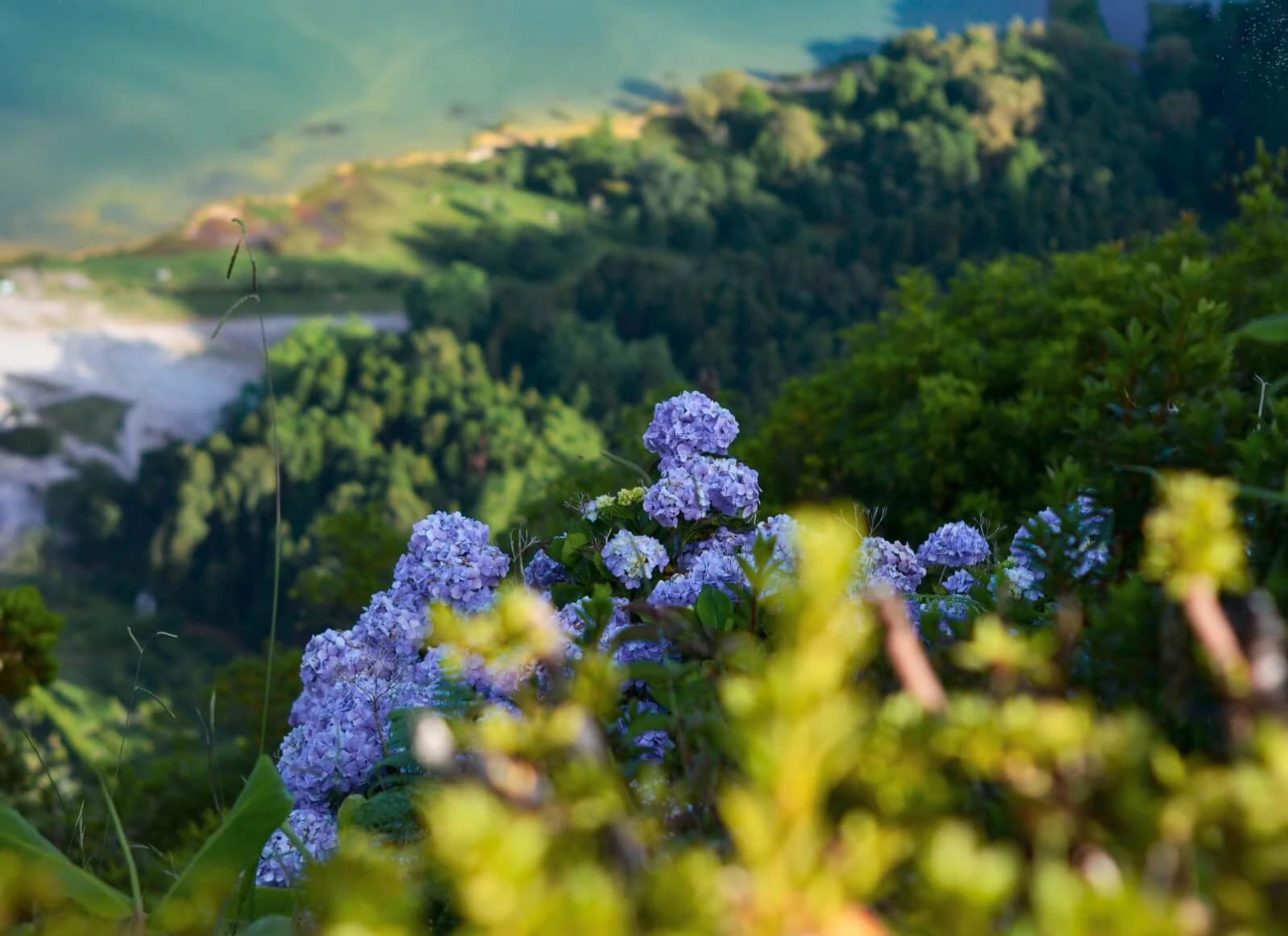 Hier erfährst Du alles über Artenvielfalt und Biodiversität