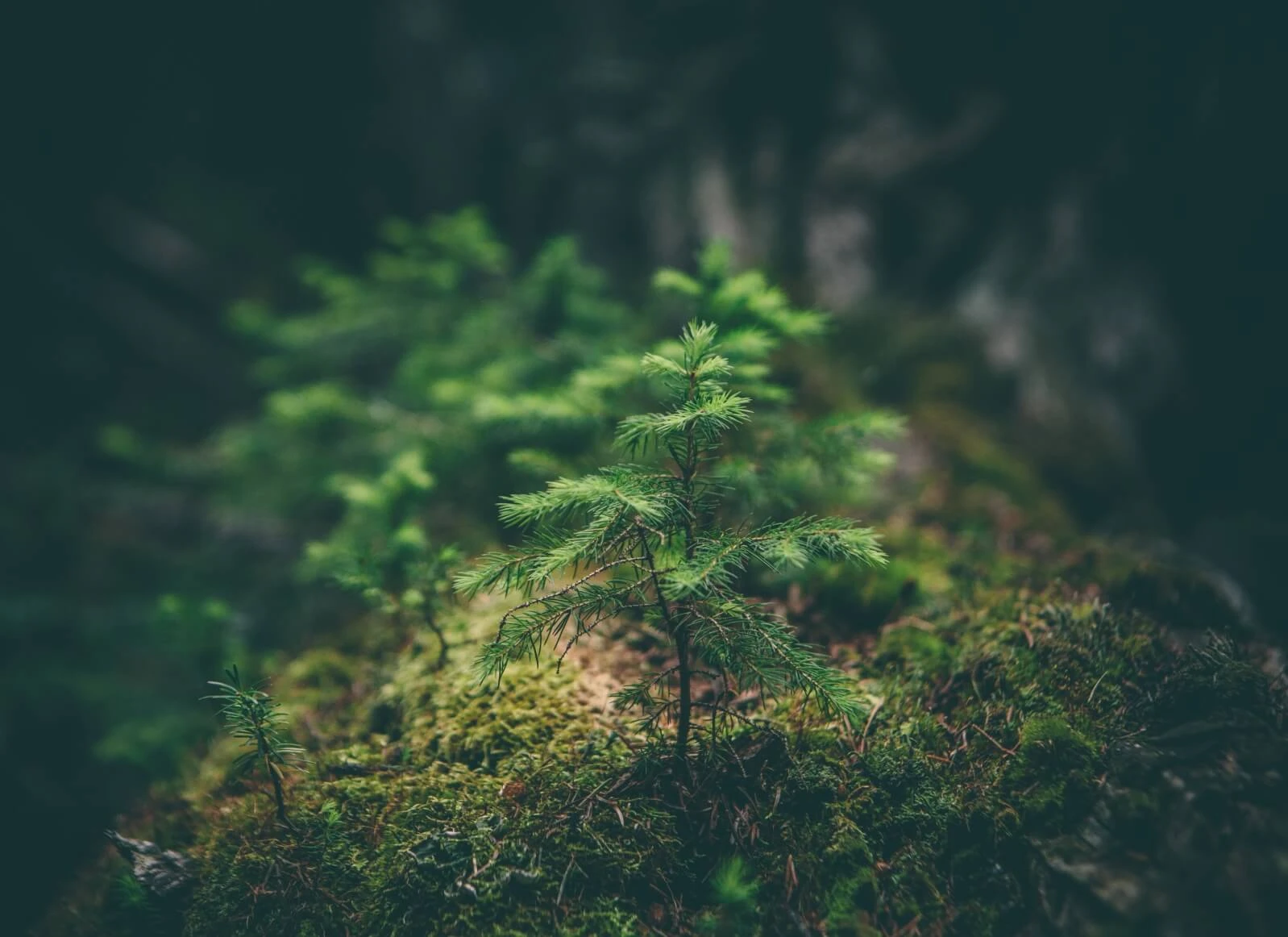 Darum ist Corporate Social Responsibility Unternehmenssache