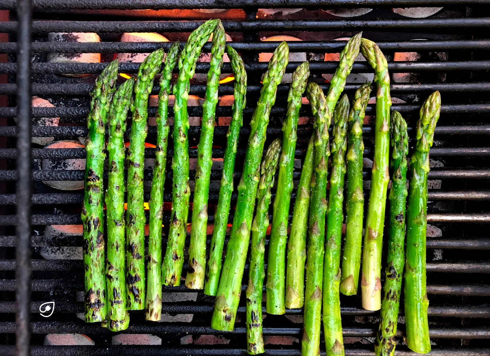 Kohleausstieg auf dem Grill