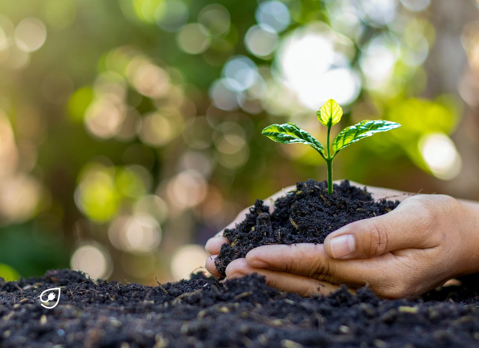 Das musst Du über Earth Day 2023 wissen