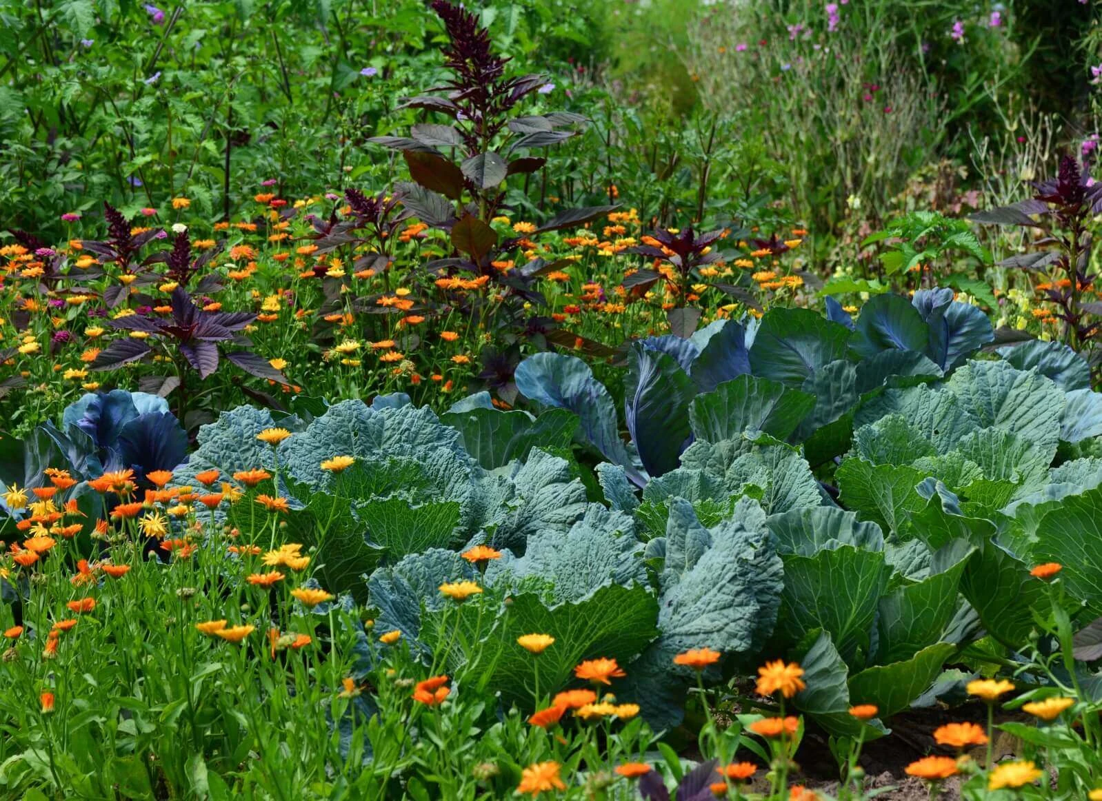 So versorgst Du Dich mit Deinem eigenen Garten