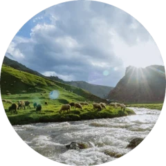 Landschaft