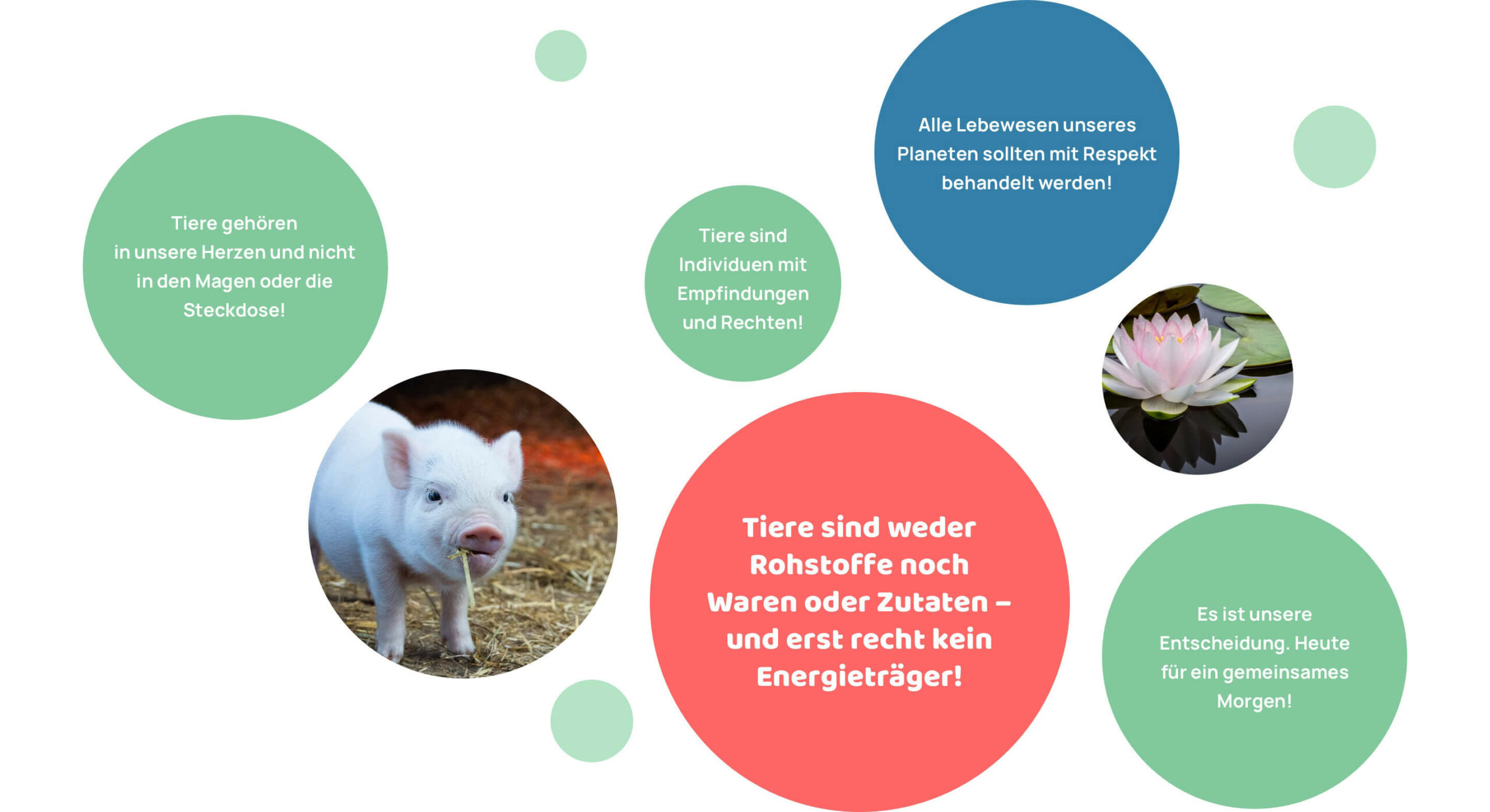 Eine überzeugende Grafik von veganstrom mit Kreisen und Bildern. Auch ein sehr süßes Schweinchen, fehlt nur noch ein Katzenbild. Die Zielgruppe wird mit gefühlvollen Phrasen abgeholt. Quelle: veganstrom.com