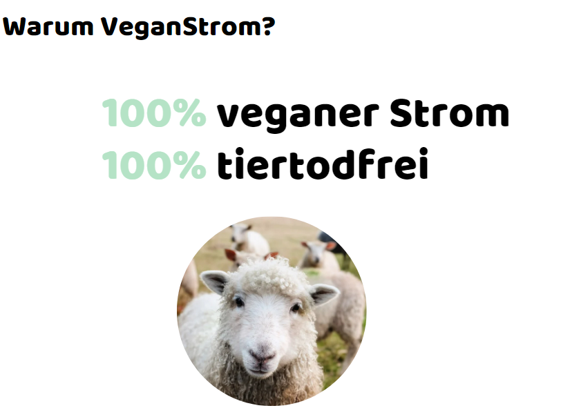 warum-veganstrom